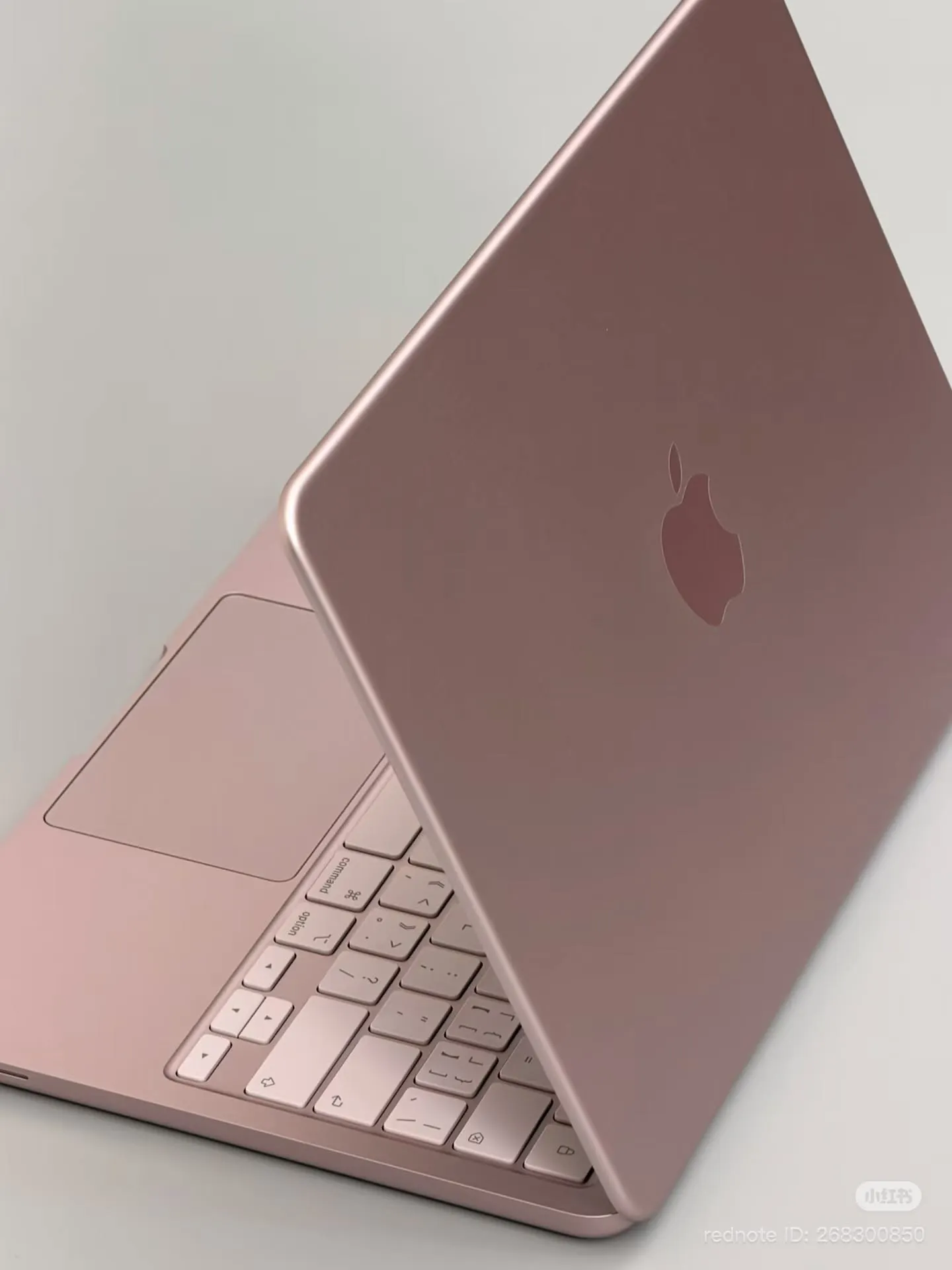 Laptop and accessories